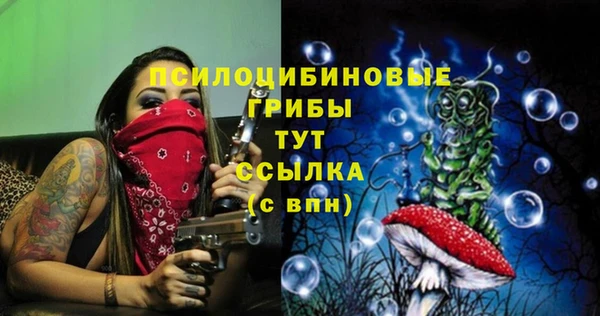 бошки Верхнеуральск